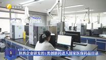 陕西企业研发的1类创新药进入国家医保药品目录