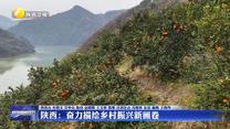 陕西：奋力描绘乡村振兴新画卷