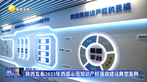 陕西发布2025年西部示范知识产权强省建设典型案例