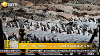 中外学子同游西安 以文化为媒搭起青年友谊桥