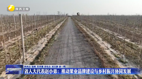 【履职建功“三个年”·人大代表在行动】省人大代表赵小弟：推动果业品牌建设与乡村振兴协同发展
