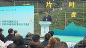 中国第一采·黔地早茶香丨全国早茶大会暨2026年“贵州绿茶”第一采活动拉开帷幕