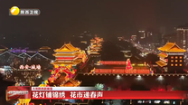 【大美陕西新画卷】花灯铺锦绣 花市递春声
