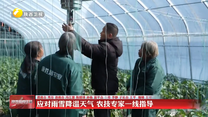 应对雨雪降温天气 农技专家一线指导