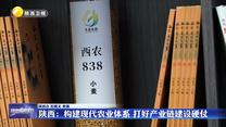 【深化拓展“三个年”活动 聚焦聚力打好“八场硬仗”】陕西：构建现代农业体系 打好产业链建设硬仗