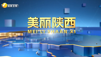 美丽陕西 (2026-01-10)