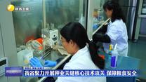 我省聚力开展种业关键核心技术攻关 保障粮食安全