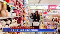 【开局“十五五”·一线调研行】安康汉滨：畅销全球的毛绒潮玩