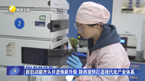【在习近平新时代中国特色社会主义思想指引下】新旧动能齐头并进焕新升级 陕西加快打造现代化产业体系