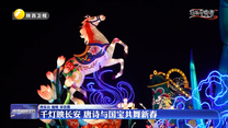 【文化中国行】千灯映长安 唐诗与国宝共舞新春