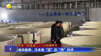 【开局“十五五”·一线调研行】商洛商州：冷水鱼“游”出“热”经济