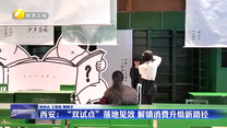 【深化拓展“三个年”活动 聚焦聚力打好“八场硬仗”】西安：“双试点”落地见效  解锁消费升级新路径