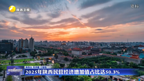 2025年陕西民营经济增加值占比达50.3%