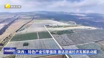 【在习近平新时代中国特色社会主义思想指引下】陕西：特色产业引擎强劲 激活县域经济发展新动能