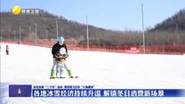 【深化拓展“三个年”活动 聚焦聚力打好“八场硬仗”】各地冰雪经济持续升温  解锁冬日消费新场景