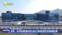 【在习近平新时代中国特色社会主义思想指引下】陕西：以改革创新激活内生动力 推动民营经济高质量发展