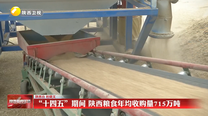 “十四五”期间 陕西粮食年均收购量715万吨