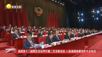 【在习近平新时代中国特色社会主义思想指引下】省政协十三届四次会议举行第二次全体会议 12名省政协委员作大会发言