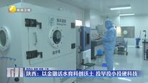 【在习近平新时代中国特色社会主义思想指引下】陕西：以金融活水育科创沃土 投早投小投硬科技