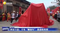 【文化中国行】西安鄠邑：千年“鞭春牛”  喜迎春来到