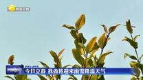 2月4日立春 我省将迎来雨雪降温天气