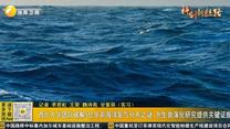 西北大学团队破解5亿年前海洋氧气分布之谜 为生命演化研究提供关键证据