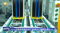 2025年陕西高新技术产品进出口值同比增长20.3%