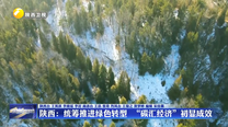 【在习近平新时代中国特色社会主义思想指引下】陕西：统筹推进绿色转型  “碳汇经济”初显成效