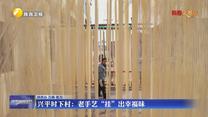 【新春走基层】兴平时下村：老手艺“挂”出幸福味