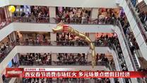 【活力中国年·看市场】西安春节消费市场红火 多元场景点燃假日经济
