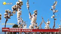 【大美陕西新画卷】田园春色美 乡村年味足