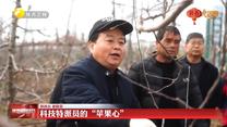 【乡村纪事】科技特派员的“苹果心”