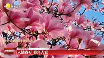 【大美陕西新画卷】人随春好 春兴人宜
