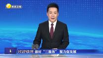 陕视快评丨做好“三服务” 聚力促发展