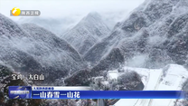 【大美陕西新画卷】一山春雪一山花