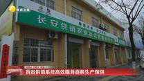 我省供销系统高效服务春耕生产保供
