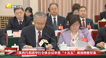 陕西代表团举行全体会议审查“十五五”规划纲要草案