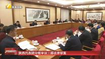 陕西代表团分组审议三部法律草案