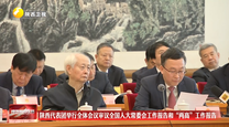 陕西代表团举行全体会议审议全国人大常委会工作报告和“两高”工作报告