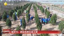 植树节：把绿色种在春天里