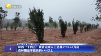 陕西“十四五”累计完成人工造林1770.65万亩 森林覆盖率提高到49%以上
