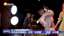 【记者观察】陕西省歌舞剧院：转型“小屏幕”  “团播”火出圈