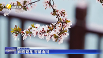 【大美陕西新画卷】雨润繁花 雪落山川