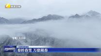 秦岭春雪 万壑藏春