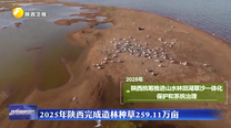 2025年陕西完成造林种草259.11万亩