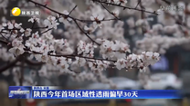 陕西今年首场区域性透雨偏早30天