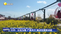 汉中：以花为媒 产景共兴 撬动发展新动能