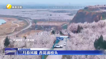 【大美陕西新画卷】三月春风暖 杏花满枝头