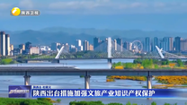 陕西出台措施加强文旅产业知识产权保护