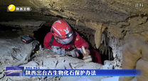 陕西出台古生物化石保护办法